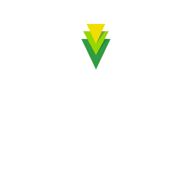 VIVE Sustainable Supply Programme